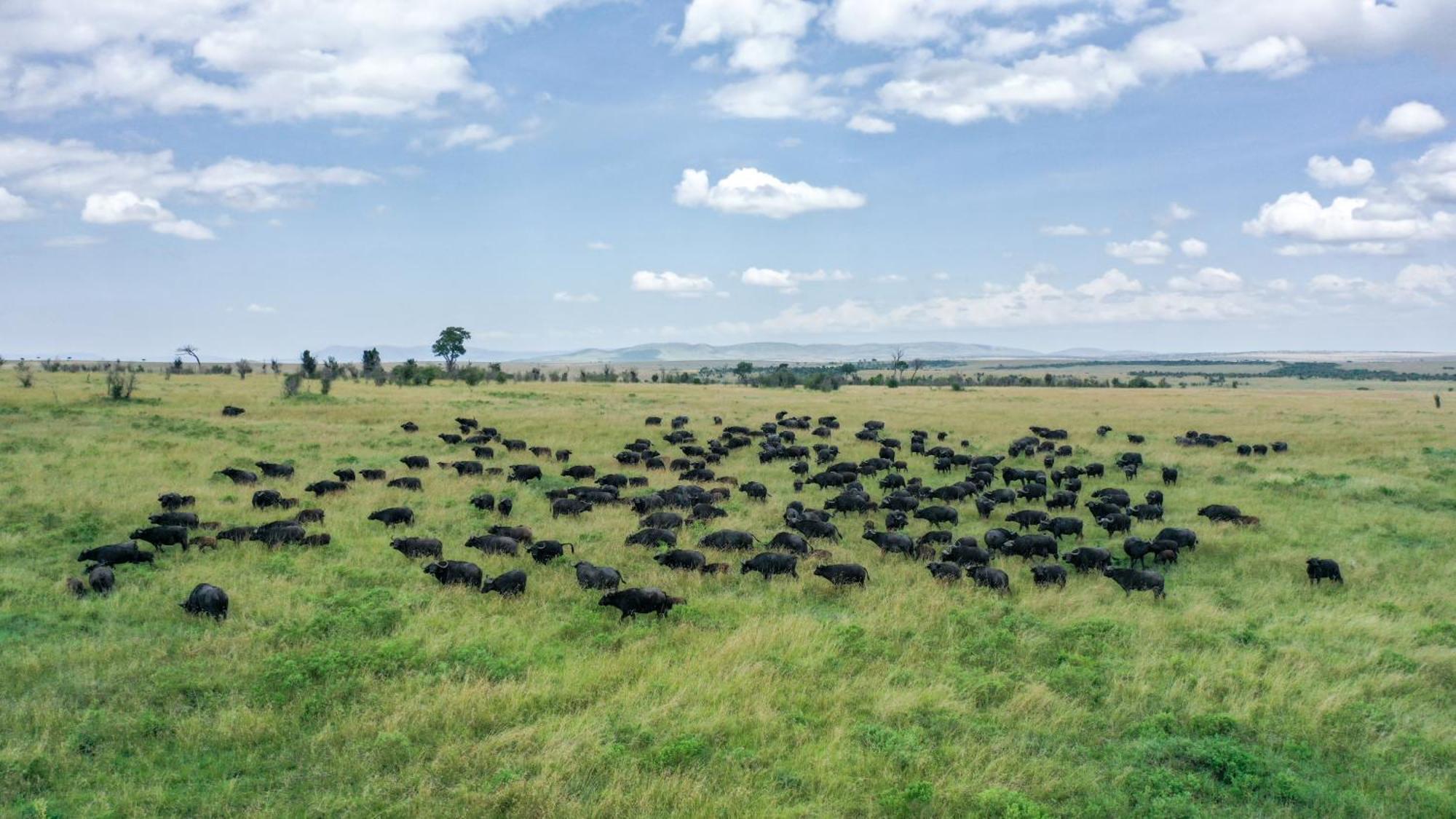 Sentrim Mara Lodge Ololaimutiek Esterno foto