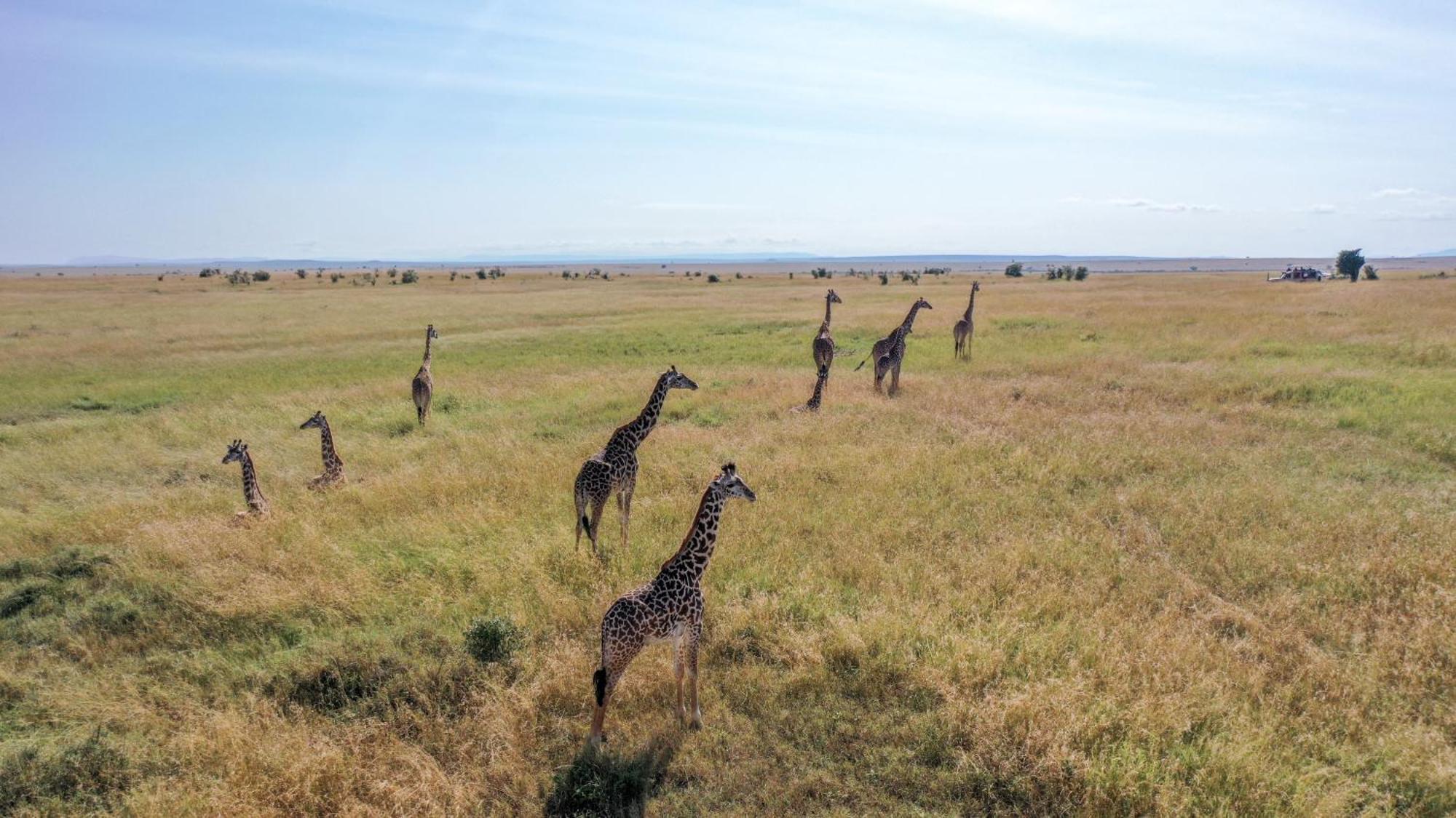Sentrim Mara Lodge Ololaimutiek Esterno foto